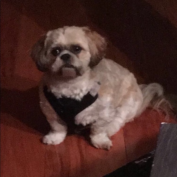 Meet your Posher, Debbie - Picture 1 of 1